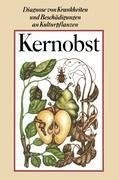 Kernobst