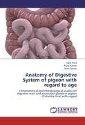 Anatomy of Digestive System of pigeon with regard to age