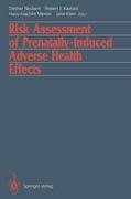 Risk Assessment of Prenatally-Induced Adverse Health Effects