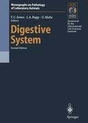 Digestive System