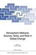 Atmospheric Methane: Sources, Sinks, and Role in Global Change