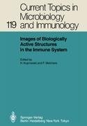 Images of Biologically Active Structures in the Immune System