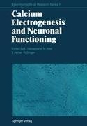 Calcium Electrogenesis and Neuronal Functioning