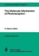 The Molecular Mechanism of Photoreception