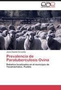 Prevalencia de Paratuberculosis Ovina