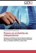 Pymes en el distrito de independecia