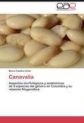 Canavalia