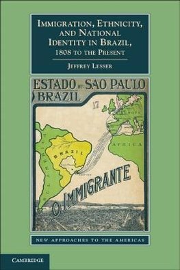 Lesser, J: Immigration, Ethnicity, and National Identity in