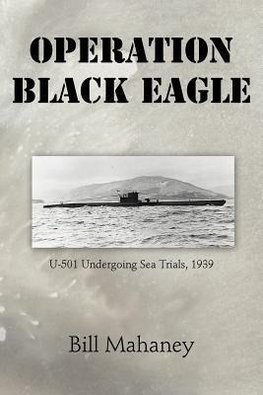 Operation Black Eagle