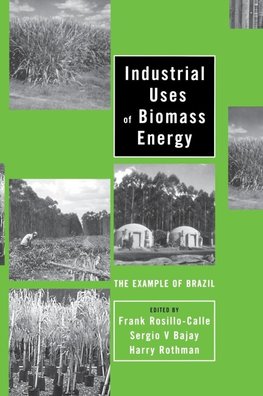 Industrial Uses of Biomass Energy