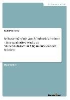 Selbstverständnis von Schulsozialarbeitern - Eine qualitative Studie an Niedersächsischen Allgemeinbildenden Schulen