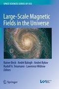 Large-scale Magnetic Fields in the Universe