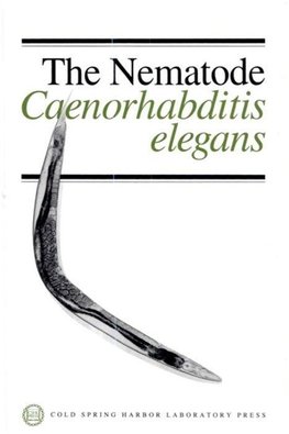 Nematode Caenorhabditis Elegans