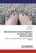 Biomechanical Investigation of Human Foot Deformation