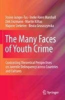 The Many Faces of Youth Crime