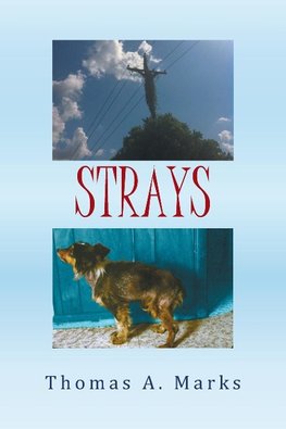 Strays