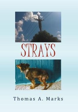 Strays