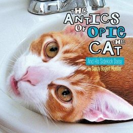 The Antics of Opie the Cat