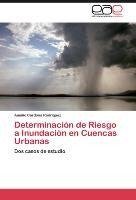 Determinación de Riesgo a Inundación en Cuencas Urbanas