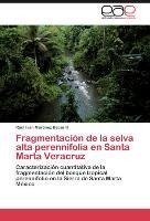 Fragmentación de la selva alta perennifolia en  Santa Marta Veracruz