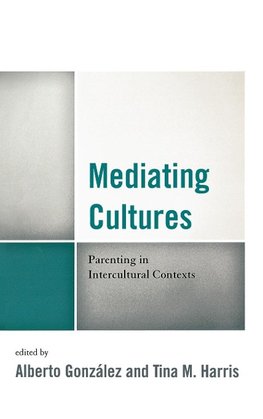 Mediating Cultures