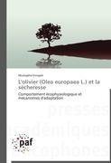 L'olivier (Olea europaea L.) et la sécheresse