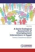 A Socio-­Ecological Assessment of Unemployment Interventions in Egypt