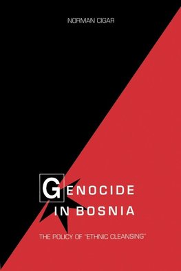 Genocide in Bosnia