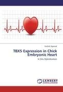 TBX5 Expression in Chick Embryonic Heart