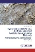 Hydraulic Modelling in a Bedrock-Confined Anabranching Mekong Network