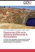 Fijación de CO2 en la bacteria biolixiviante A. ferrooxidans