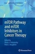 mTOR Pathway and mTOR Inhibitors in Cancer Therapy