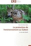 La protection de l'environnement au Gabon