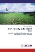 Iron Toxicity in Lowland Rice