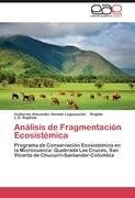 Análisis de Fragmentación Ecosistémica