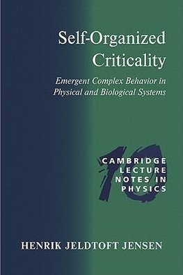 Self-Organized Criticality