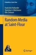 Random Media at Saint-Flour