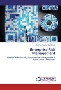 Enterprise Risk Management