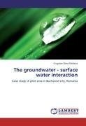 The groundwater - surface water interaction