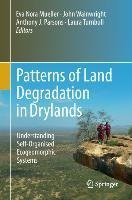 Patterns of Land Degradation in Drylands