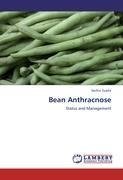 Bean Anthracnose