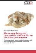 Microorganismos del proceso de nitrificación en el cultivo de camarón