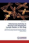 Telomerase Activity in Normal and Neoplastic Lymph Nodes in the Dog