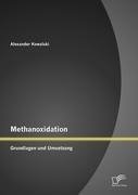 Methanoxidation: Grundlagen und Umsetzung