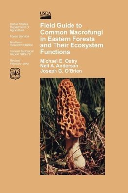 Field Guide to Common Macrofungi in Eastern Forests and Their Ecosystem Function