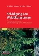 Schädigung von Waldökosystemen