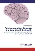 Comparing brains between the Agouti and the Rabbit