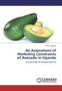 An Assessment of  Marketing Constraints  of Avocado in Uganda