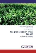 Tea plantation in west Bengal