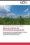 Nuevos clones de Pennisetum purpureum